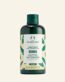 THE BODY SHOP Banana Nourishing Conditioner FOR DRY HAIR PRONE TO FRIZZ, DAMAGE, VEGAN, latest outer Design 250ML