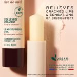 Nuxe Rêve De Miel Lip Moisturizing Stick 4g